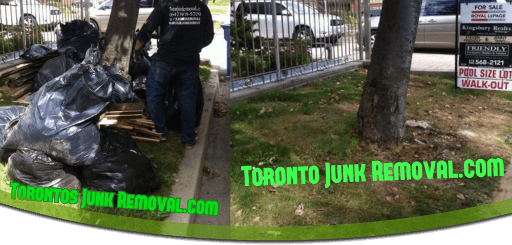 Junk Removal North York - Main Image